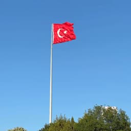 Göktürk P.
